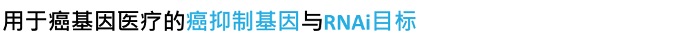 用于癌基因医疗的癌抑制基因与RNAi目标
